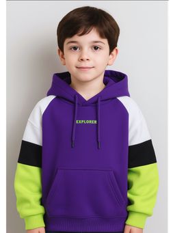 Bubble Berry - Boys Hooded Colorblocked Sweatshirt