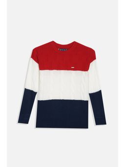 Allen Solly - Boys Multi Colorblock Regular Fit Sweater