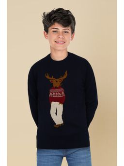 Allen Solly - Boys Navy Graphic Print Regular Fit Sweater