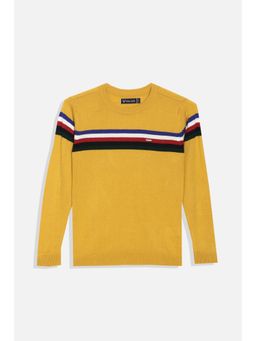 Allen Solly - Boys Yellow Stripe Regular Fit Sweater