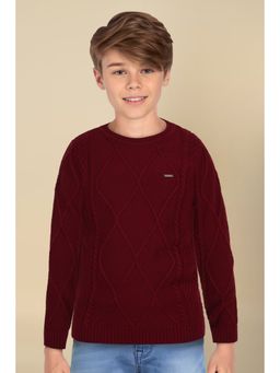 Allen Solly - Boys Maroon Textured Regular Fit Sweater
