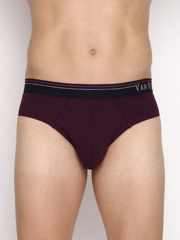 Van Heusen Innerwear - Men Anti Bacterial & Colour Fresh Briefs - Denim Melange, Winter Bloom