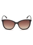 Brown color option, Sold out