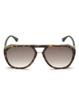 IDEE - S2766 C3 58 Brown Lens Sunglasses for Men (58)
