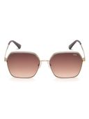 Brown color option, Sold out
