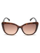 Brown color option, Sold out