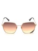 Brown color option, Sold out, Currently selected