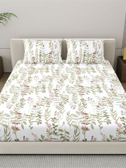 Home Ecstasy - Cotton Bedsheet with 2 Pillow Covers - Olive (King)