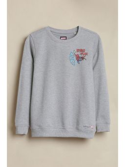 Allen Solly - Boys Grey Graphic Print Sweatshirt