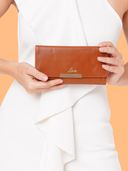 Tan color option, Currently selected