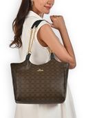 Brown color option, Currently selected