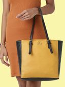 Ochre color option, Currently selected