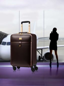 The Clownfish - Unisex Travel & Laptop Roller Case- 24 Inch