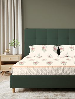 Urban Space - Serene 200 TC Cotton Bedsheet With 2 Pillow Covers, King Fitted - Rose Butter Cream