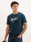 Teal color option