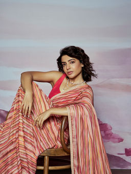 SAAKI - Inara Stripe Printed Multi Coloured Saree