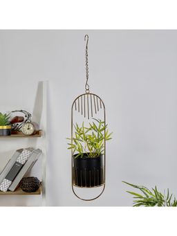 HomeTown - Artiskylar Metal Hanging Planter Matt Finish 58 Cm in Black and Gold Colour