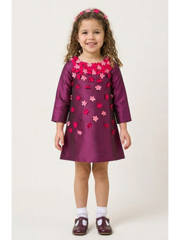 A Little Fable - Maroon Polyester Full Sleeves Round Neck Dress
