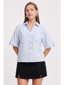 Blue color option, Currently selected