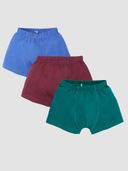 Multi-Color color option, Currently selected
