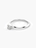 Silver color option