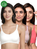 Multi-Color color option, Currently selected