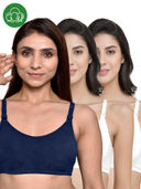 Multi-Color color option, Currently selected