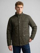 Olive color option, Sold out