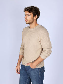 Lee - Men Beige Textured Regular Fit Sweater