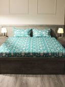 Teal color option, Currently selected