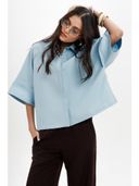 Blue color option, Currently selected