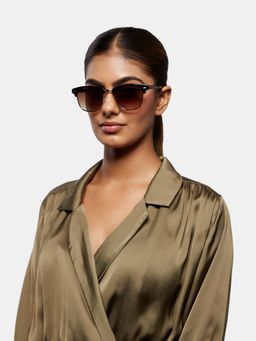 Opium Eyewear - Mens Brown Polycarbonate Lenses Brown Frame Clubmaster Sunglasses