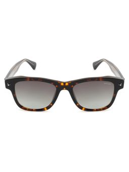 Opium Eyewear - Unisex Grey TAC Lenses Brown Frame Wayfarer Sunglasses
