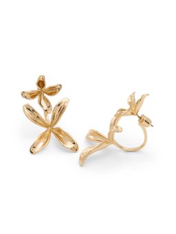 Aldo - Golden Women Earrings