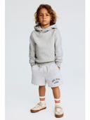 Grey color option, Currently selected