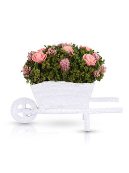 HomeTown - Aura Pe and Natural Dried Flowers Floral Arrangements in Pink Colour By Living Essence