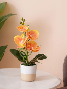 HOME 360 - Sunset Orange Orchid In Two-Tone Beige & White Pot