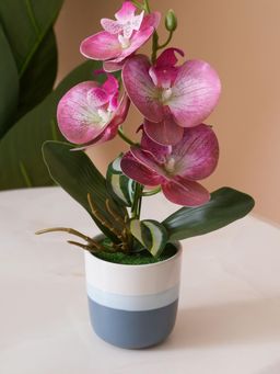HOME 360 - Pink Orchid Arrangement With Two-Tone Ceramic Planter