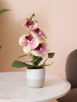 HOME 360 - Two-Tone Potted Pink & Yellow Artificial Orchid