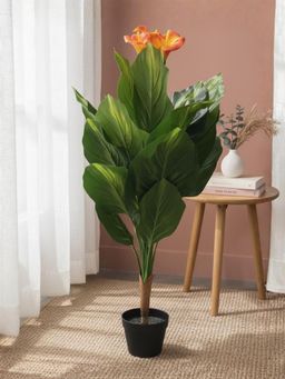 HOME 360 - Architectural Botanical Collection Designer Greenery And Vivid In Contemporary Bases