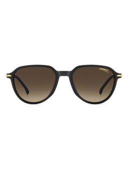 CARRERA - Men 100% UV Protection Phantos Full Rim Brown Lens Sunglasses (53)