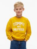 Yellow color option, Currently selected