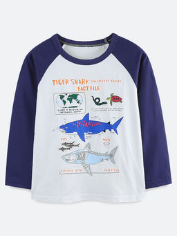 Oh Rare - White Colorblock Regular Fit T-Shirt