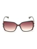 Brown color option, Sold out