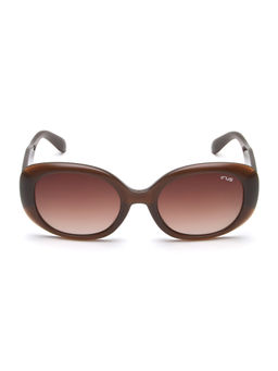 IRUS - Women UV Protected Full Rim Brown Frame Brown Lens Sunglasses - IRS1242C5SG (53)