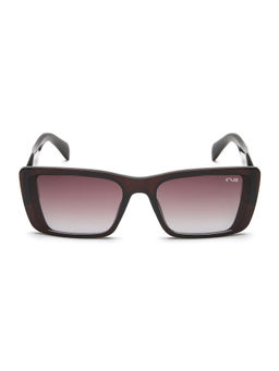 IRUS - Women UV Protected Full Rim Brown Frame Brown Lens Sunglasses - IRS1246C2SG (57)