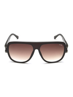 IRUS - Men UV Protected Full Rim Brown Frame Brown Lens Sunglasses - IRS1264C2SG (60)