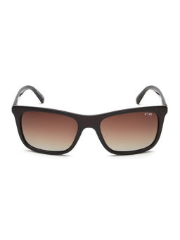 IRUS - Men UV Protected Full Rim Brown Frame Brown Lens Sunglasses - IRS1265C3PSG (55)