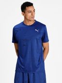 Blue color option, Sold out