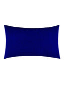 Blue color option, Currently selected